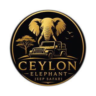 Ceylon Elephant Jeep Safari